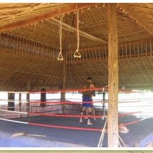 freestyle-muay-thai-in-tampa-hillcamp-ring